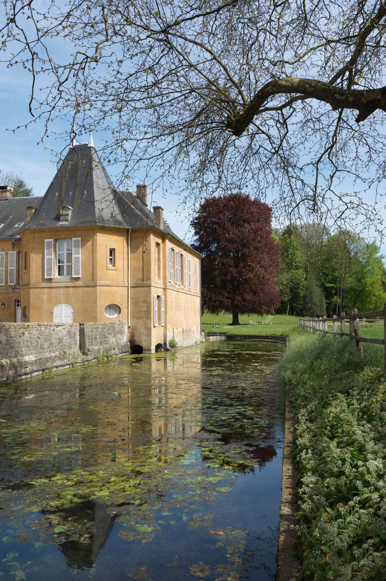 Chateau De Martigny Bed & Breakfast Colmey Luaran gambar